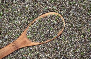 are hemp seeds good for you