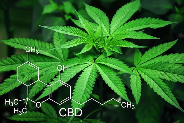 The Hottest New Cannabinoid HHC What You NEED To Know